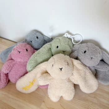 Bunny Colour